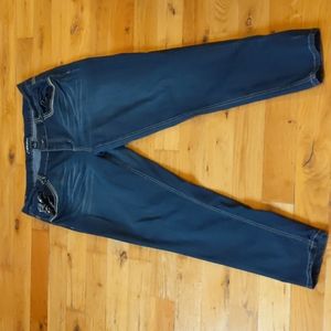 Lane Bryant  Embellished Embroidered Jeans Skinny Jeans Size 20